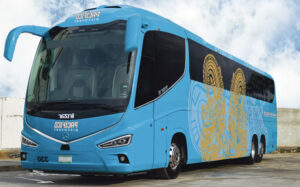 buses